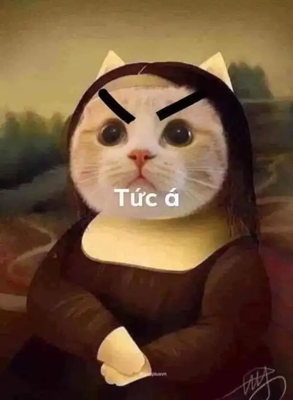 meme tức giận hài hước