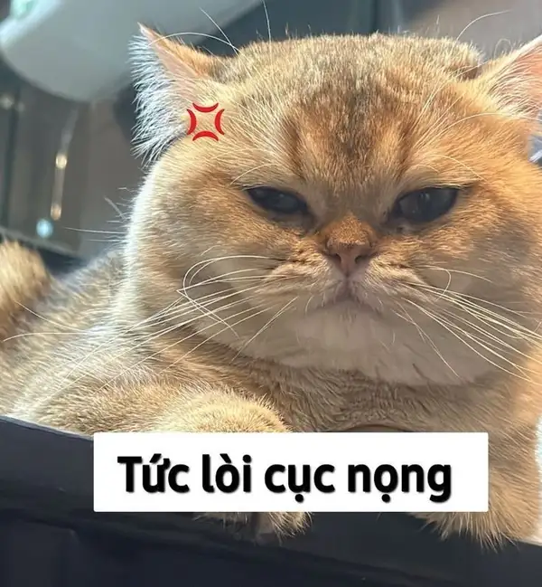 giận meme tức