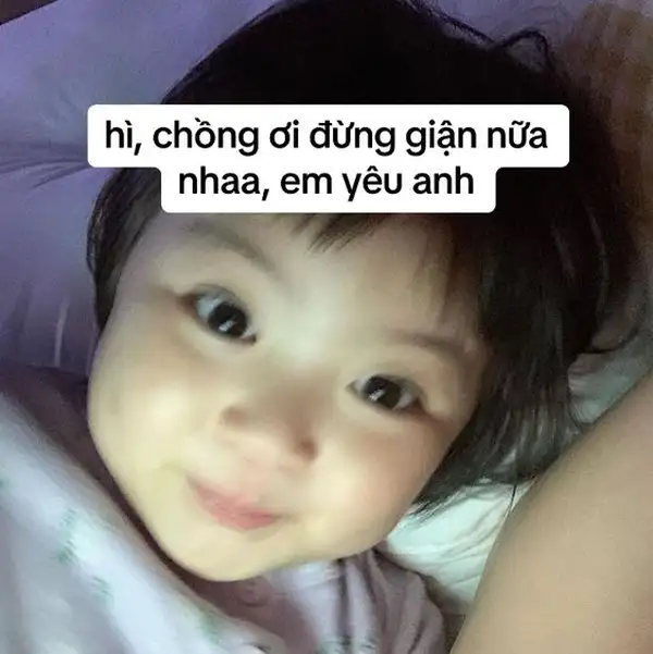 anh xin lỗi meme chồng