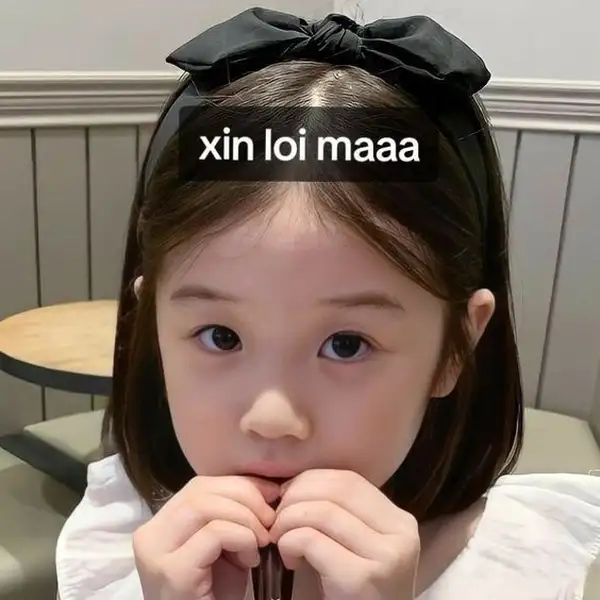 ảnh meme xin lỗi năn nỉ