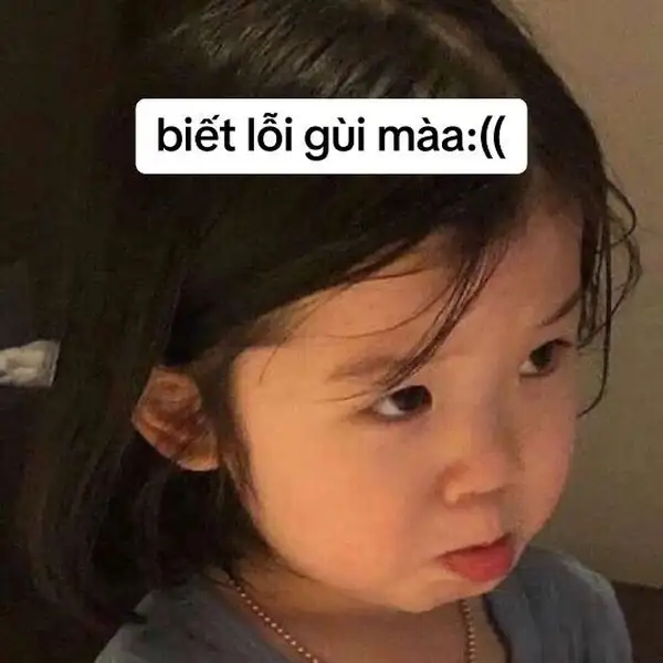 meme biết lỗi 