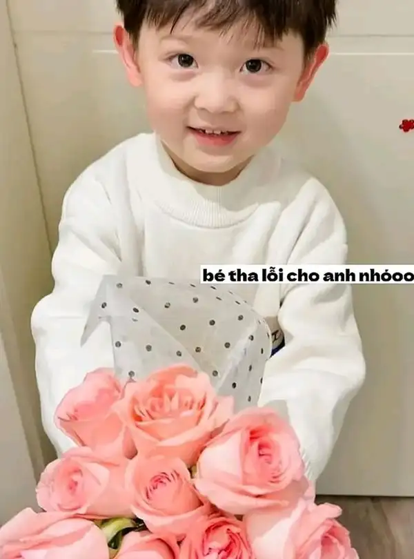 meme xin lỗi đáng yêu cho bạn nam