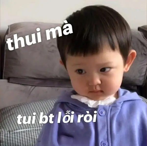 anh xin lỗi meme siêu xinh