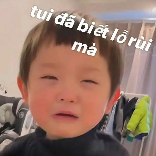 ảnh meme xin lỗi tội nghiệp