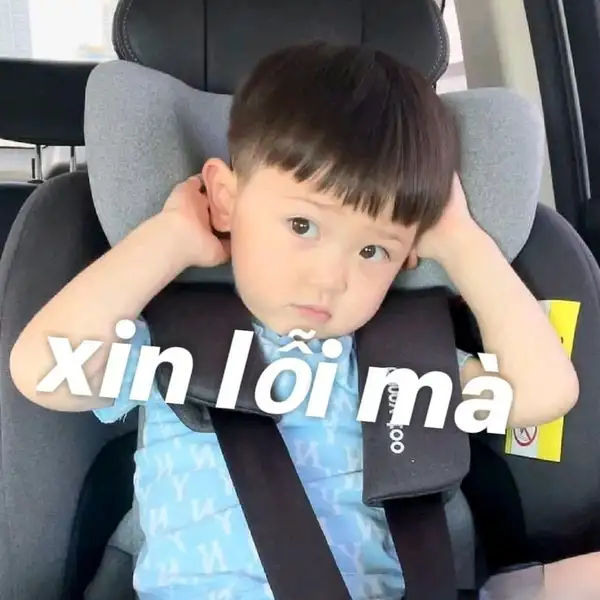 meme xin lỗi tội nghiệp