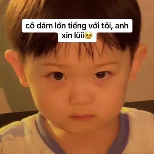 meme xin lỗi đáng yêu 2