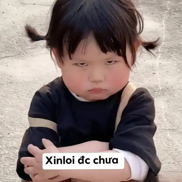  xin lỗi được chưa meme 2