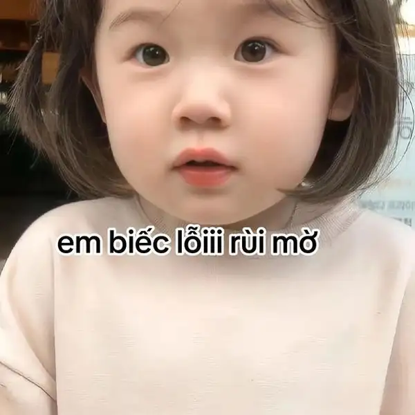 meme xin lỗi cute 2