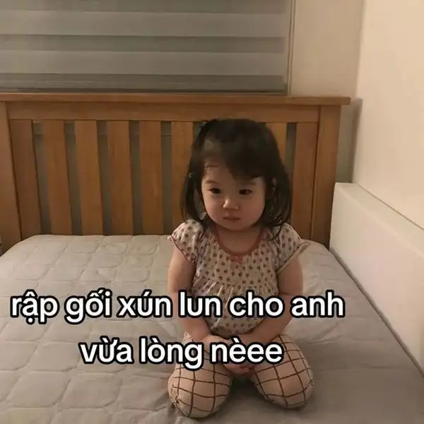 xin lỗi được chưa meme thành tâm