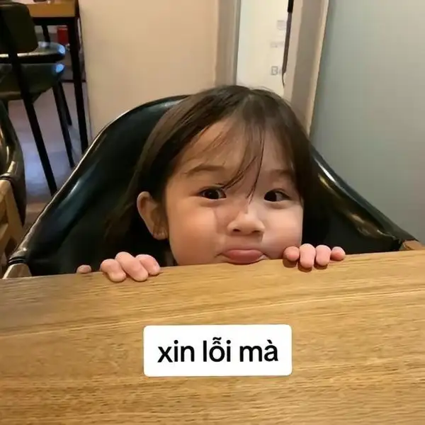 meme xin lỗi người yêu xinh