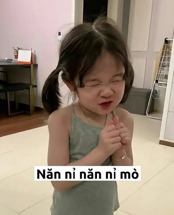 meme xin lỗi đáng yêu hết nấc