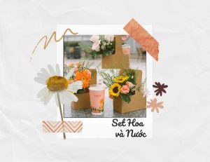 Gợi ý 65 set hoa và nước đẹp mê hồn, ấn tượng và tinh tế