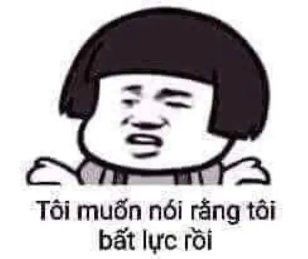 ảnh meme bất lực gấu trúc