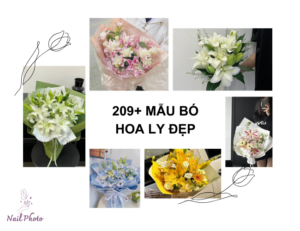209+ Mẫu bó hoa ly đẹp màu trắng, hồng, vàng đủ sắc màu 