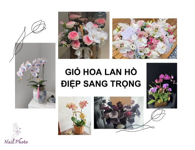 Giỏ hoa Lan Hồ Điệp