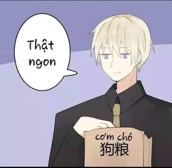 ảnh meme anime cute ăn cơm chó