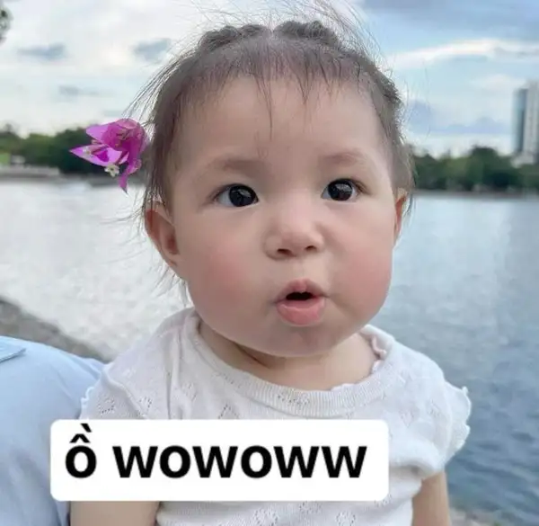 ảnh bất ngờ meme wow