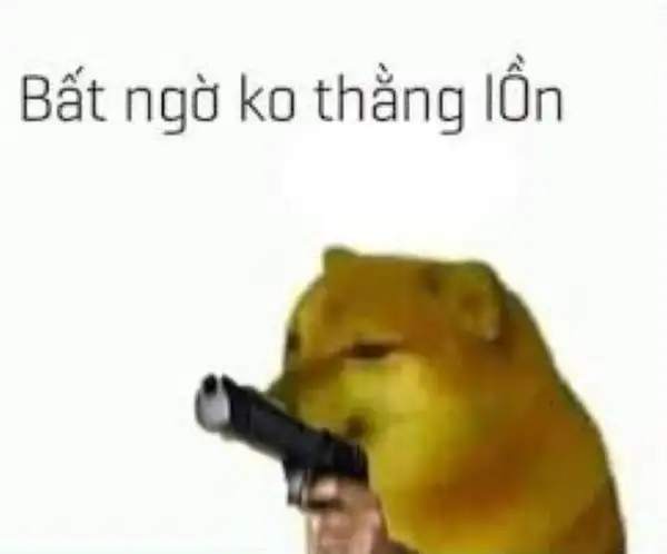 ảnh bất ngờ meme hài hước 3