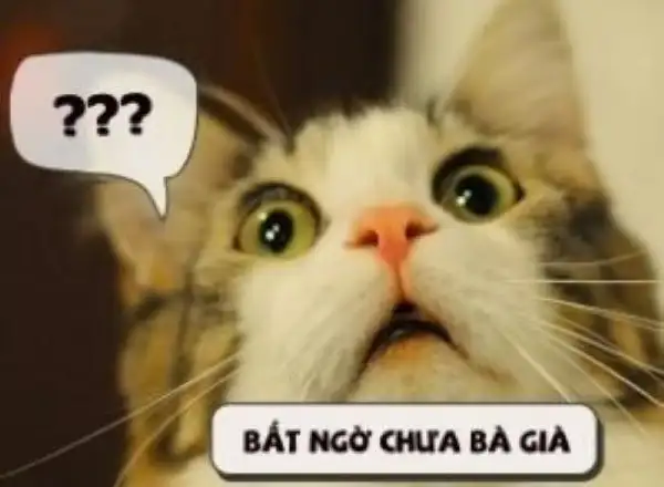 ảnh meme bất ngờ chưa bà già