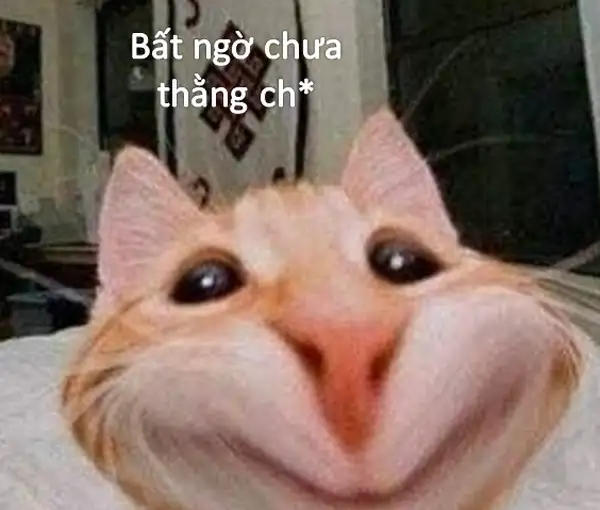 meme bất ngờ hài hước 4