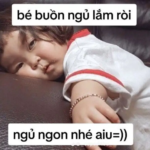 ảnh meme buồn ngủ rồi