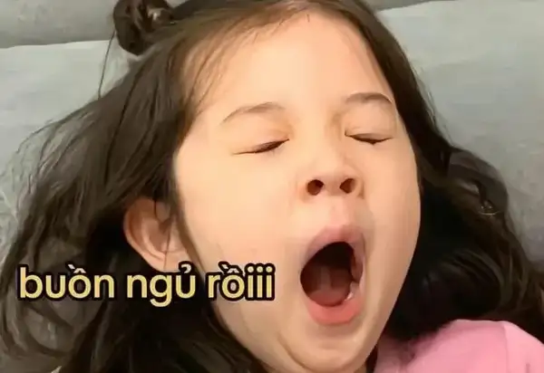 ảnh meme buồn ngủ ngáp díu mắt