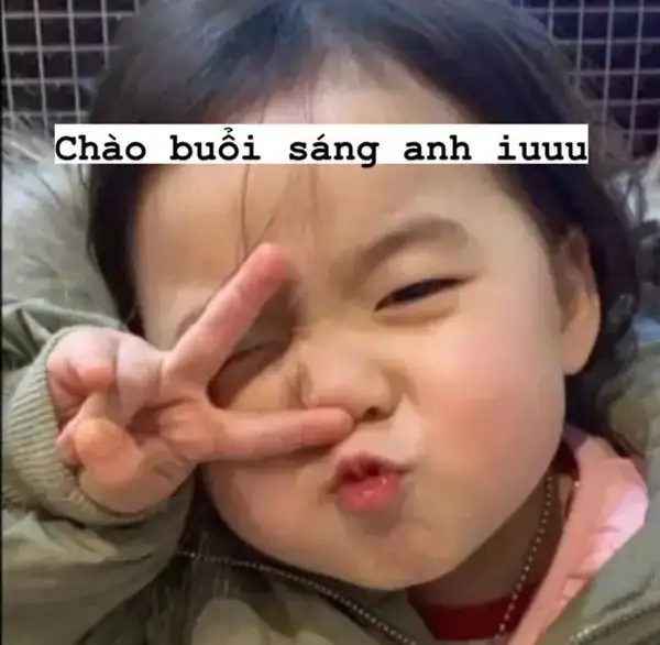 ảnh meme xin chào anh iu