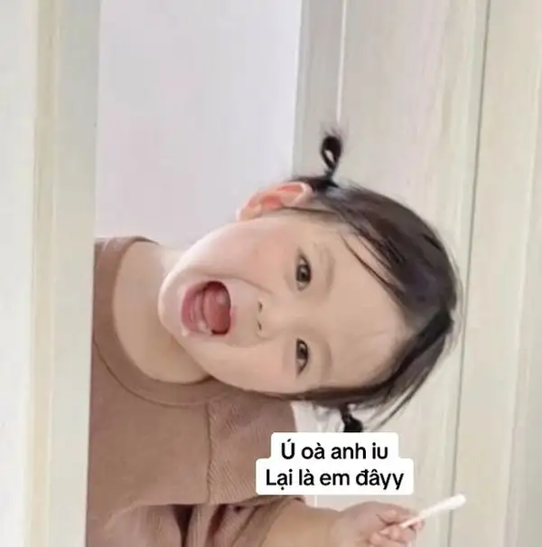 ảnh meme xin chào cute 2