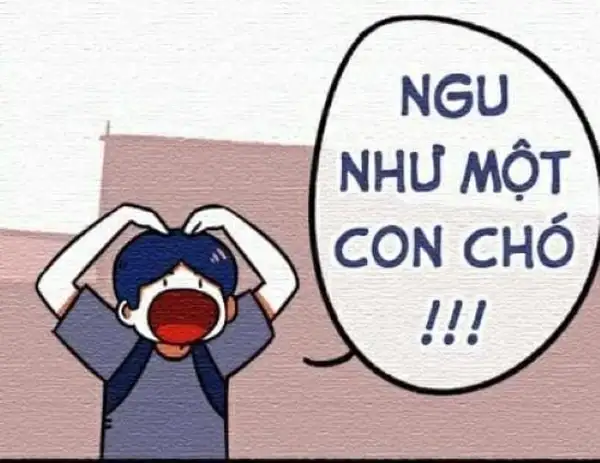 ảnh meme chửi bạn ngu