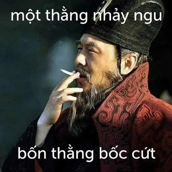 ảnh meme chửi bạn ngu ngốc