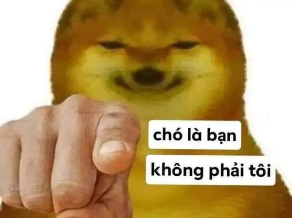 ảnh meme chửi bạn