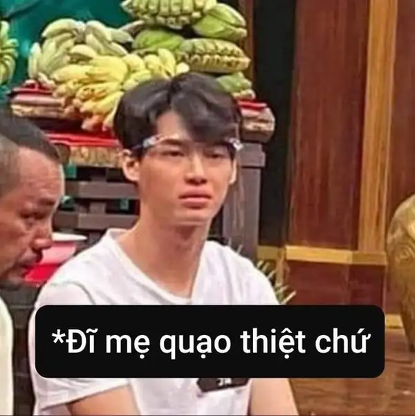 ảnh meme chửi thái độ