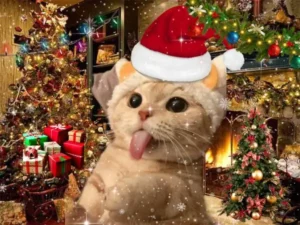 Top 110+ meme noel, ảnh meme Giáng sinh hài hước nhất năm
