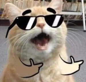 Tổng hợp 256+ ảnh meme ngầu, mèo ngầu chất nhất mạng xã hội