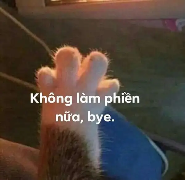 ảnh meme tạm biệt bye