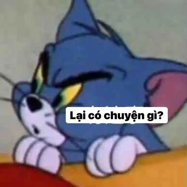 ảnh meme tom and jerry tò mò