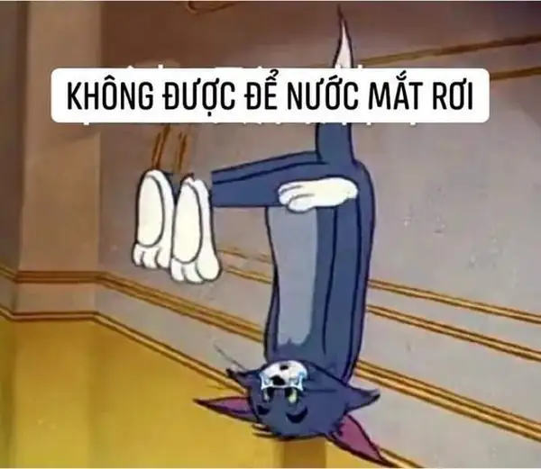 ảnh tom meme khóc