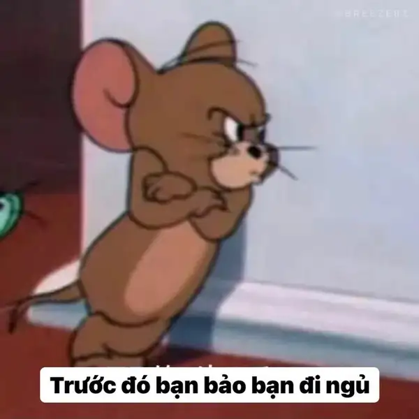 ảnh meme tom and jerry tức giận