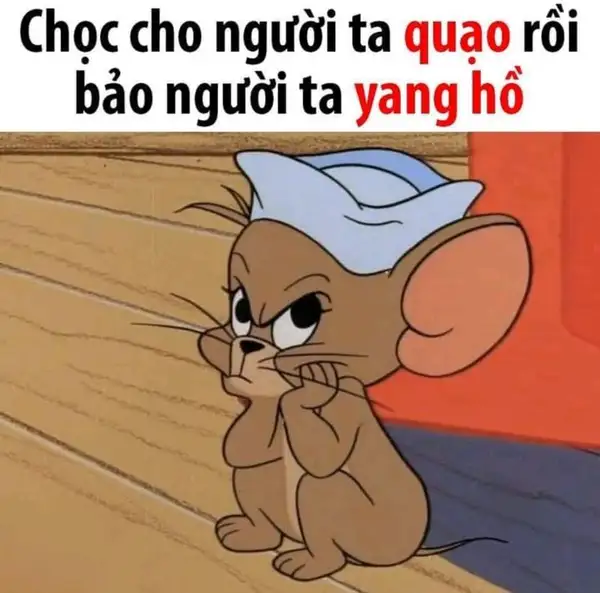 ảnh meme tom and jerry quạo