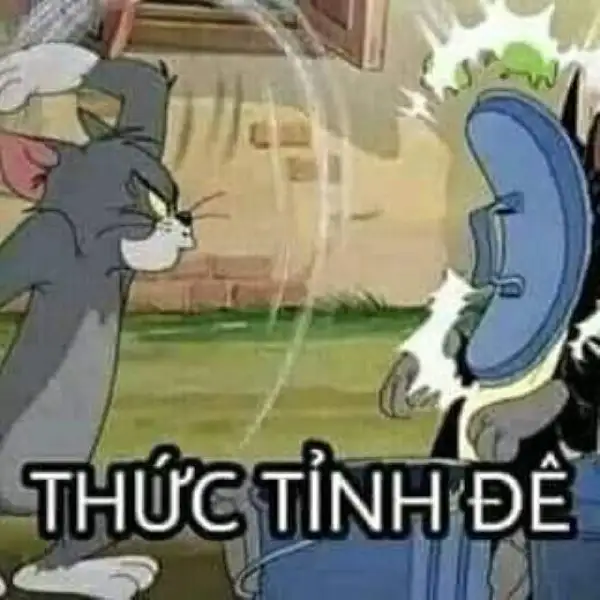 ảnh meme tom và jerry thức tỉnh đi