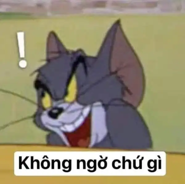 ảnh meme tom và jerry không ngờ