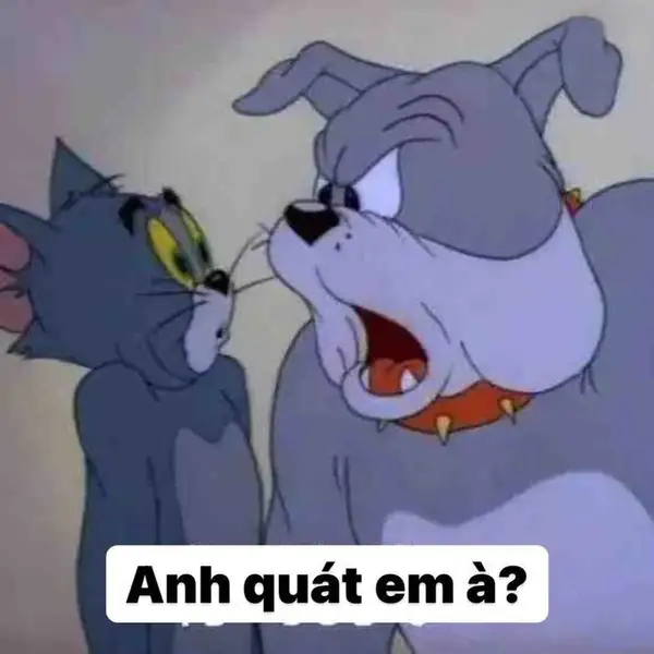 ảnh meme tom và jerry anh quát em