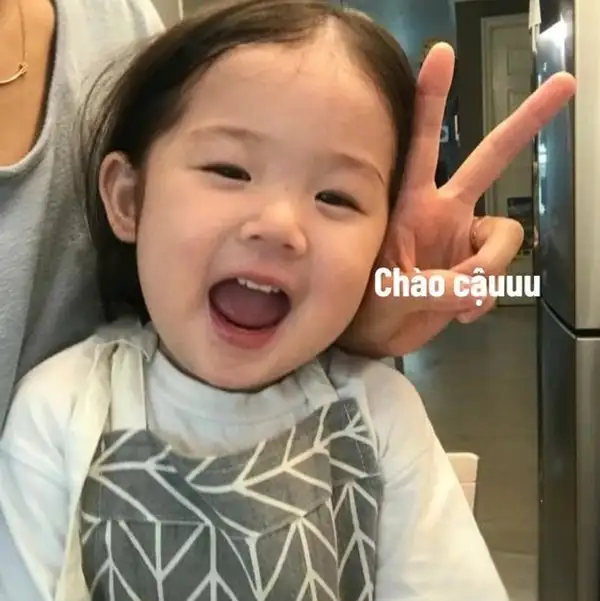 Gợi ý 101+ Hình ảnh meme xin chào hài hước và độc lạ nhất