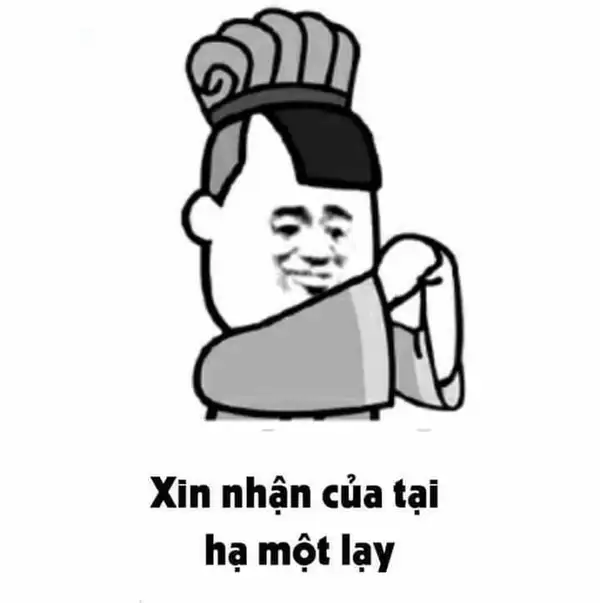 meme quỳ gối hài hước