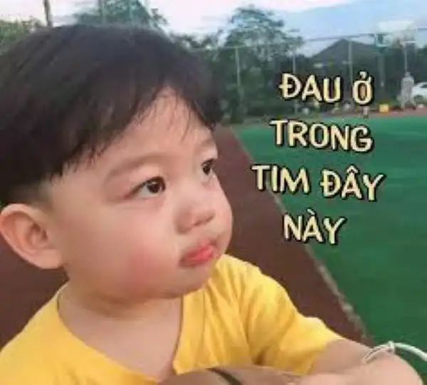 meme đau ở trong tim đây này 