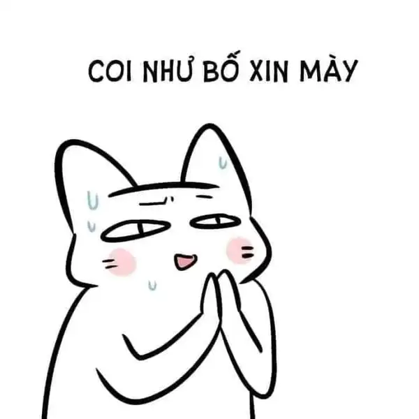 meme quỳ gối xin mày