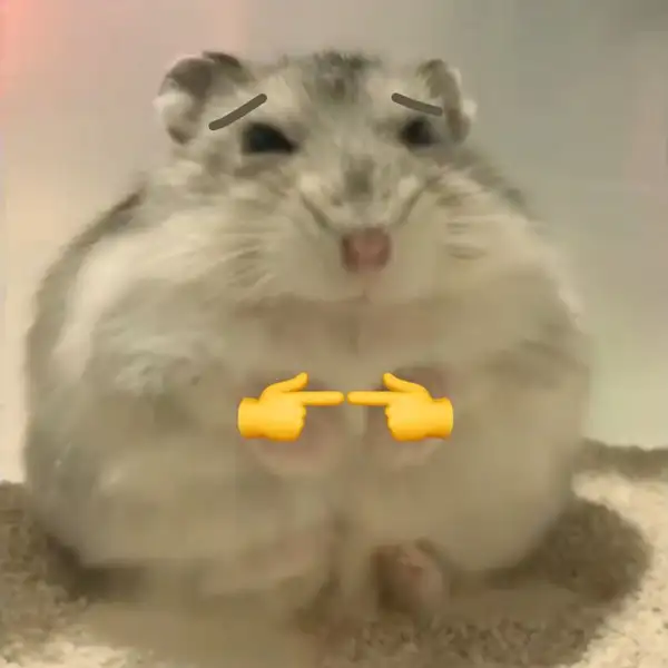 hài hước meme chuột hamster cute