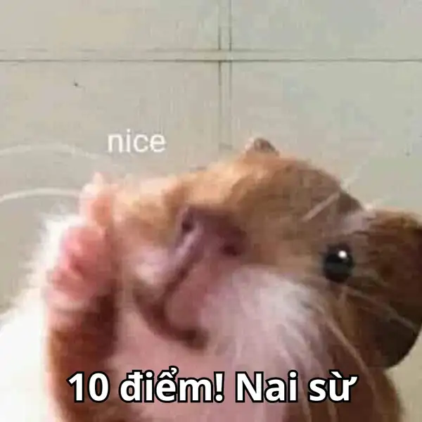 meme chuột hamster nai sừ