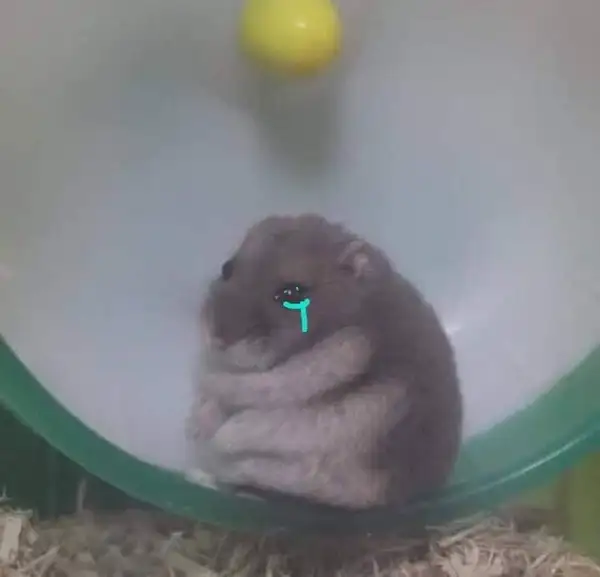 meme chuột hamster khóc ấm ức