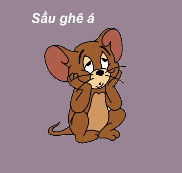 meme chuột jerry sầu